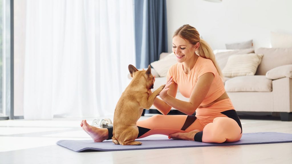 Frau übt Tricks mit ihrem Hund