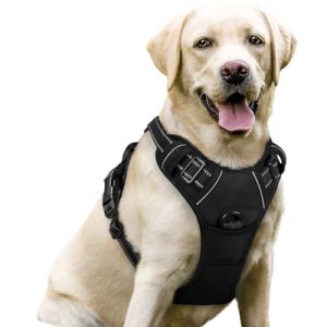 Rabbitgoo No-Pull Brustgeschirr – L / Schwarz