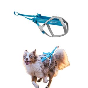 Non-stop dogwear Freemotion 5.0 – Blue / Gray / 6