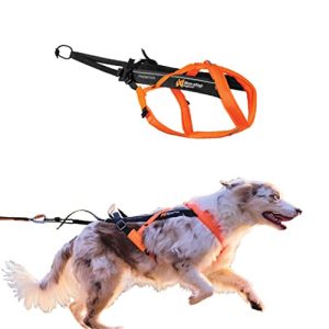 Non-stop dogwear Freemotion 5.0 – Orange / Black / 4