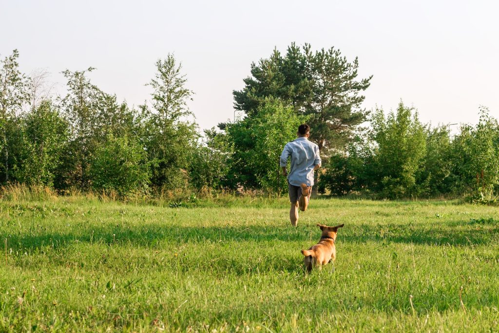 Kleiner Hund rennt mit seinem Herrchen im Park durch das Gras