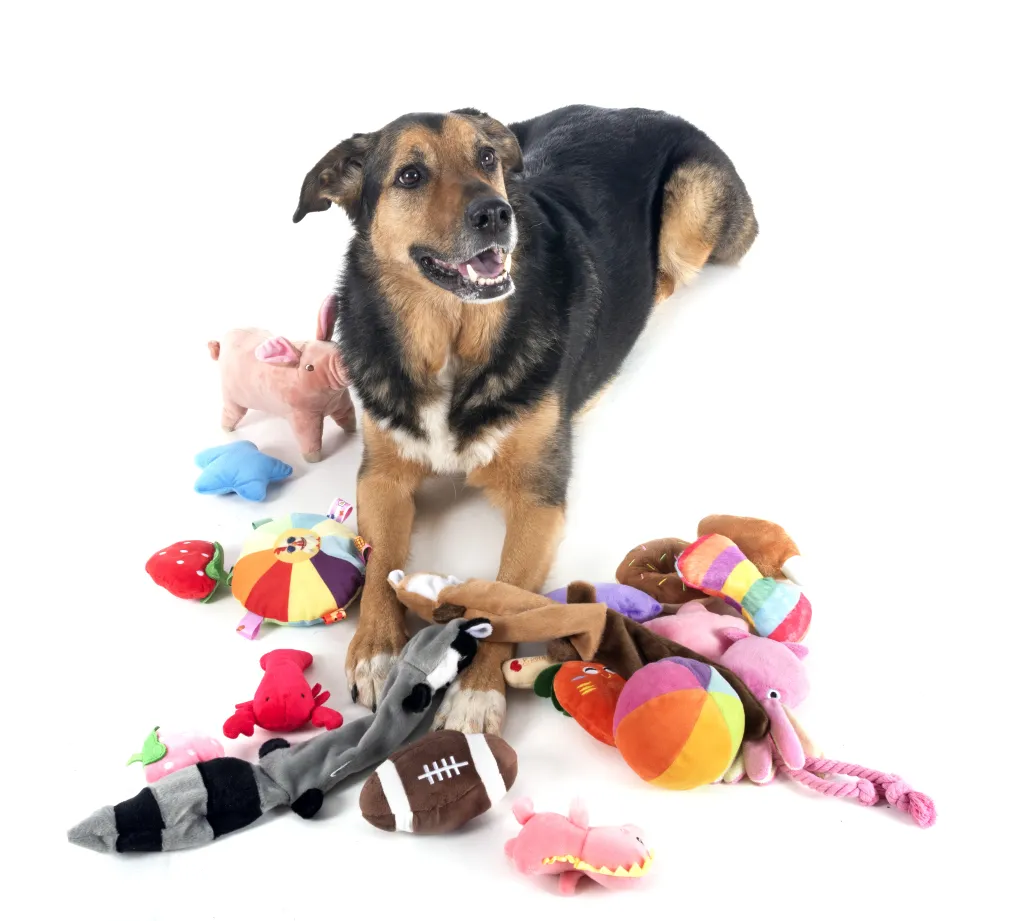 Schäferhund-Mischling liegt zwischen vielen Plüsch- und Stofftieren