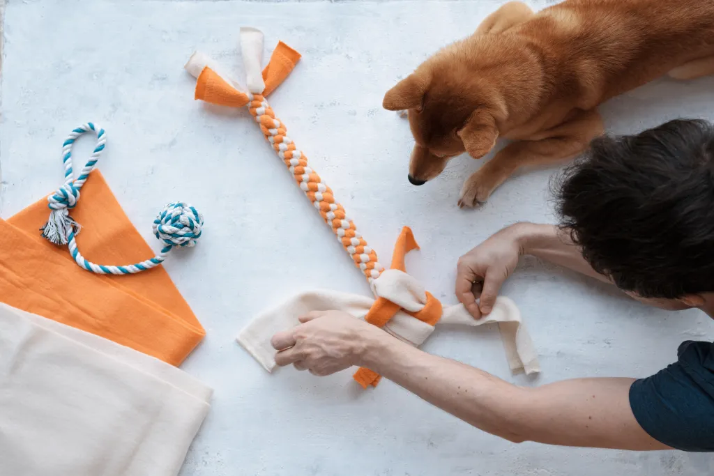 Person bastelt ein Zerrspielzeug aus orangen und weißen Fleecestreifen, ein Hund schaut zu