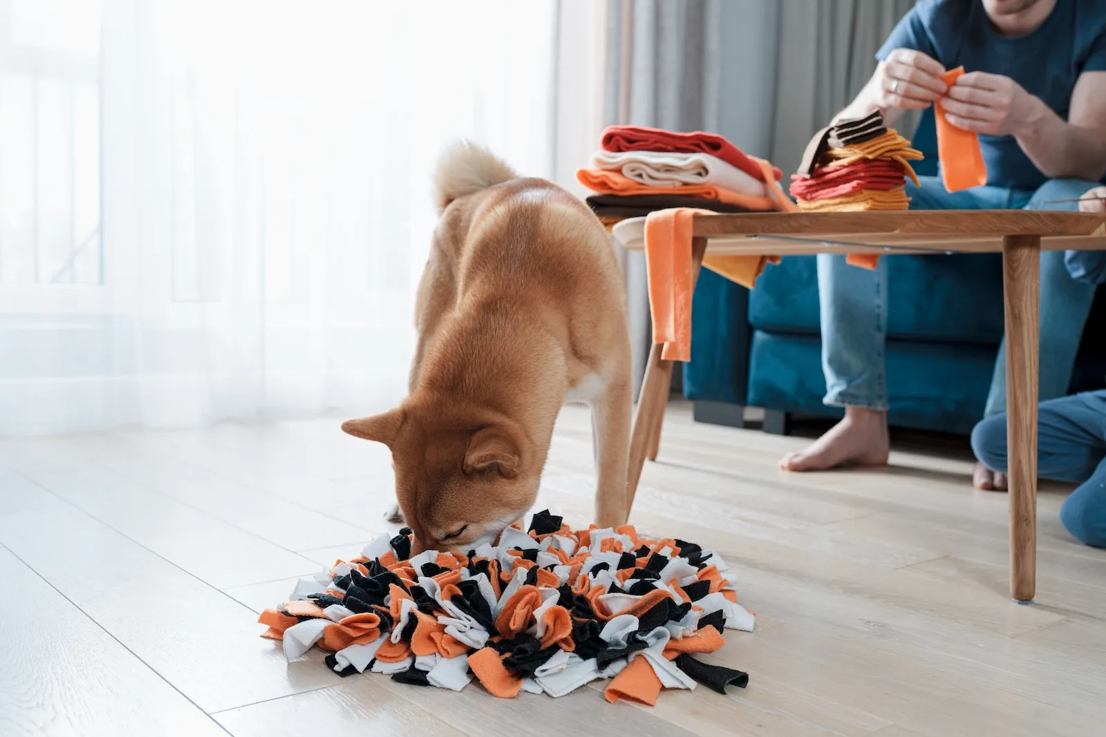 Shiba Inu sucht Leckerli in einer selbst geknoteten Schnüffelmatte, im Hintergrund schneidet eine Person Fleece-Streifen zu