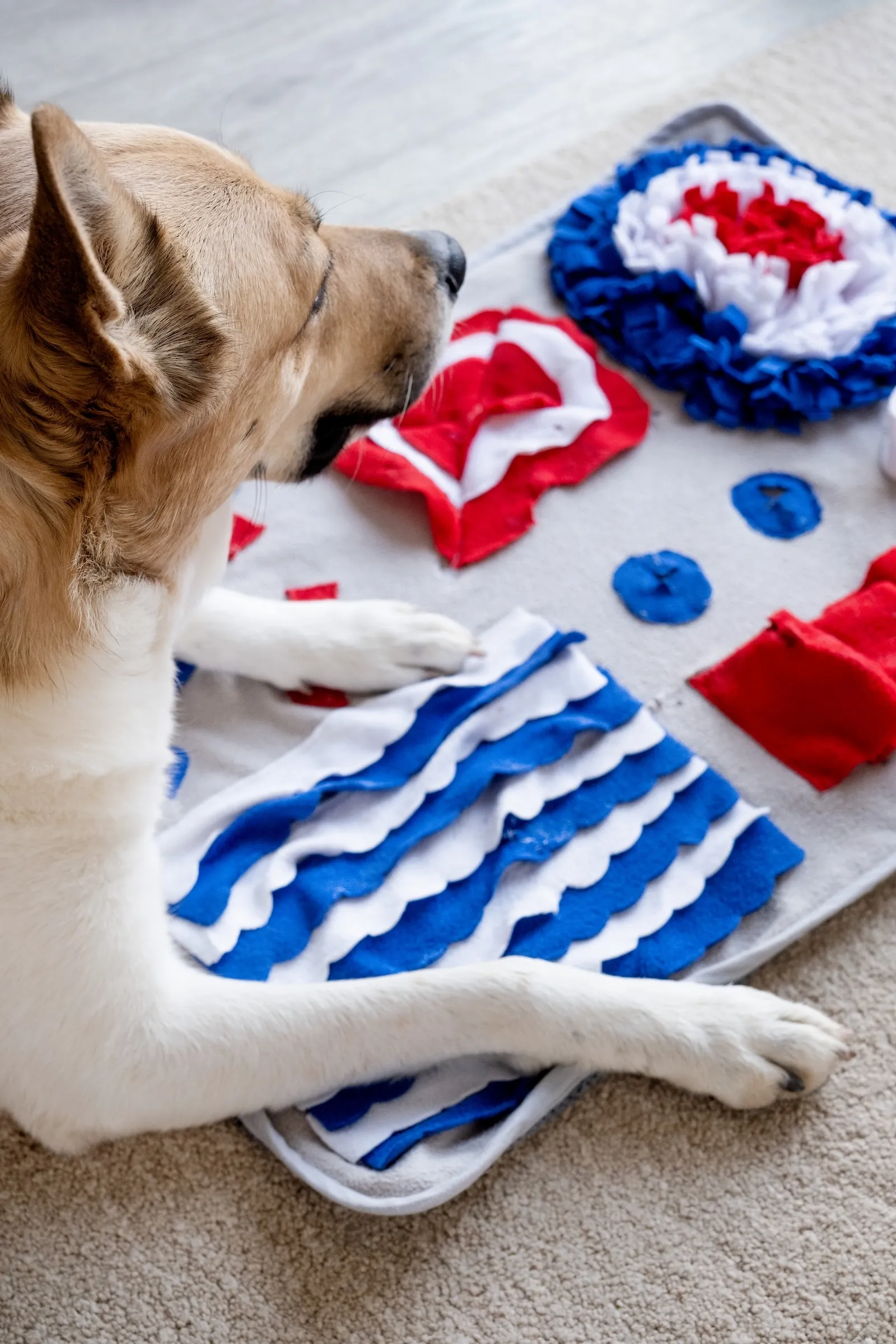 Hund liegt auf einer Schnüffelmatte mit Fleece-Rosette, roter Klappe, Wellenstreifen und kleinen Verstecken